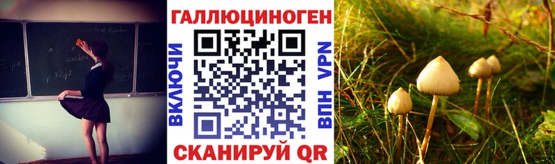 Купить закладки Находка Псилоцибиновые грибы Magic Shrooms